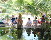 Participants visit the UA “turtle pond,” a water feature and surrounding garden area. Participants visit the UA “turtle pond,” a water feature and surrounding garden area.