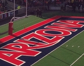 "Whenever the Wildcats cross that line to score, I love how happy it makes the entire stadium!" – Jill Hall, manager of alumni and community engagement, College of Medicine – Tucson