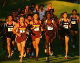 The UA men's cross country team competes against Arizona State. The UA men's cross country team competes against Arizona State.