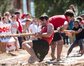 One long-established tradition is that student organizations compete in a tug-of-war battle, in mud. One long-established tradition is that student organizations compete in a tug-of-war battle, in mud.