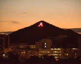 Proposed by UA football player and civil engineering student Albert H. Condron and built by UA students at a cost of $397, Sentinel Peak’s prominent “A” has proclaimed Wildcat spirit across the miles since 1916. Ever since, students from Bobcats Senior Honorary light the letter with flares in preparation for a fresh whitewash, making it one of the University’s oldest traditions. Proposed by UA football player and civil engineering student Albert H. Condron and built by UA students at a cost of $397, Sentinel Peak’s prominent “A” has proclaimed Wildcat spirit across the miles since 1916. Ever since, students from Bobcats Senior Honorary light the letter with flares in preparation for a fresh whitewash, making it one of the University’s oldest traditions.