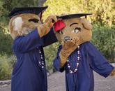 University mascots Wilbur and Wilma during filming for the virtual 2020 Commencement ceremony. (Photo: Chris Richards/University of Arizona) University mascots Wilbur and Wilma during filming for the virtual 2020 Commencement ceremony. (Photo: Chris Richards/University of Arizona)