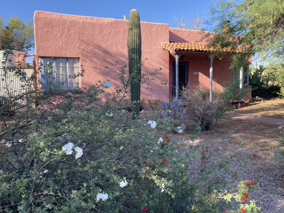 A small pink stucco house with a red-tiled roof sits behind a desert landscape garden featuring native plants, including a tall saguaro cactus, prickly pear cactus, and flowering shrubs with white and red blossoms. The house has a shaded front porch supported by white columns and is partially shaded by a mesquite tree. The sky is clear and blue.