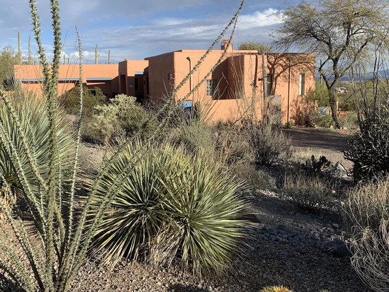 A Southwestern-style adobe home with a smooth stucco exterior painted in earthy tones, surrounded by desert landscaping. Various native plants, including agave, ocotillo, and cholla, fill the rocky foreground. The house is set against a partly cloudy sky with saguaro cacti visible in the background.