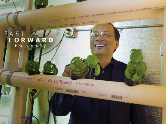 "Research and development leads to innovations and technology. I always knew that I wanted to go into that direction, so that I can contribute to solving some important problems facing our planet," says Joel Cuello, UA professor of agricultural and biosys