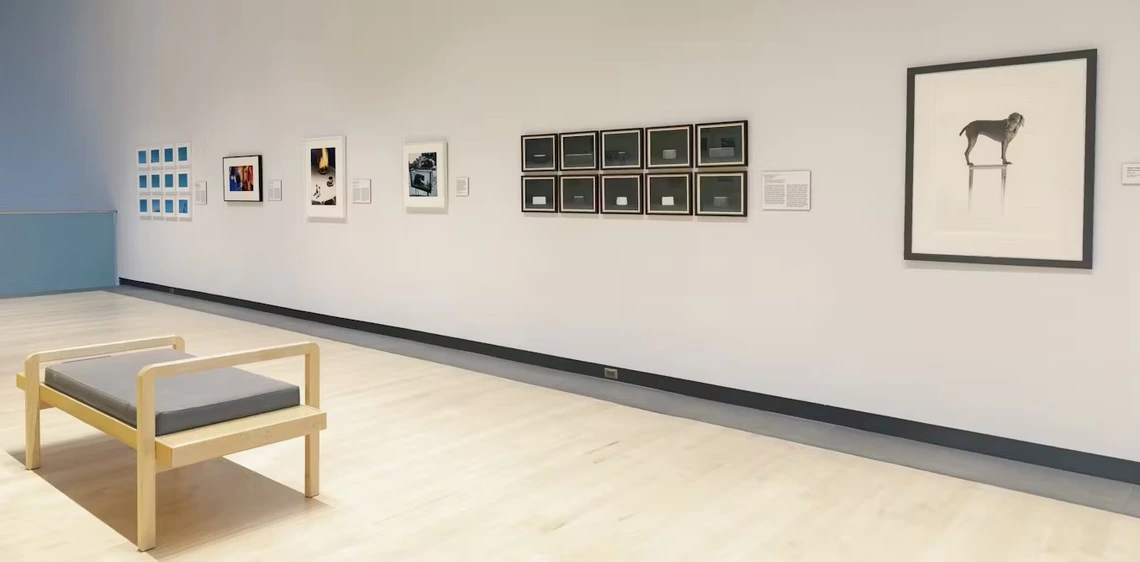 Exhibition gallery view of Funny Business: Photography and Humor at the Phoenix Art Museum. A wooden bench sits in the foreground, with a row of framed photographs displayed along a white wall, including colorful abstract pieces, a grid of smaller blue images, and a large black-and-white photograph of a dog standing on a narrow pedestal.