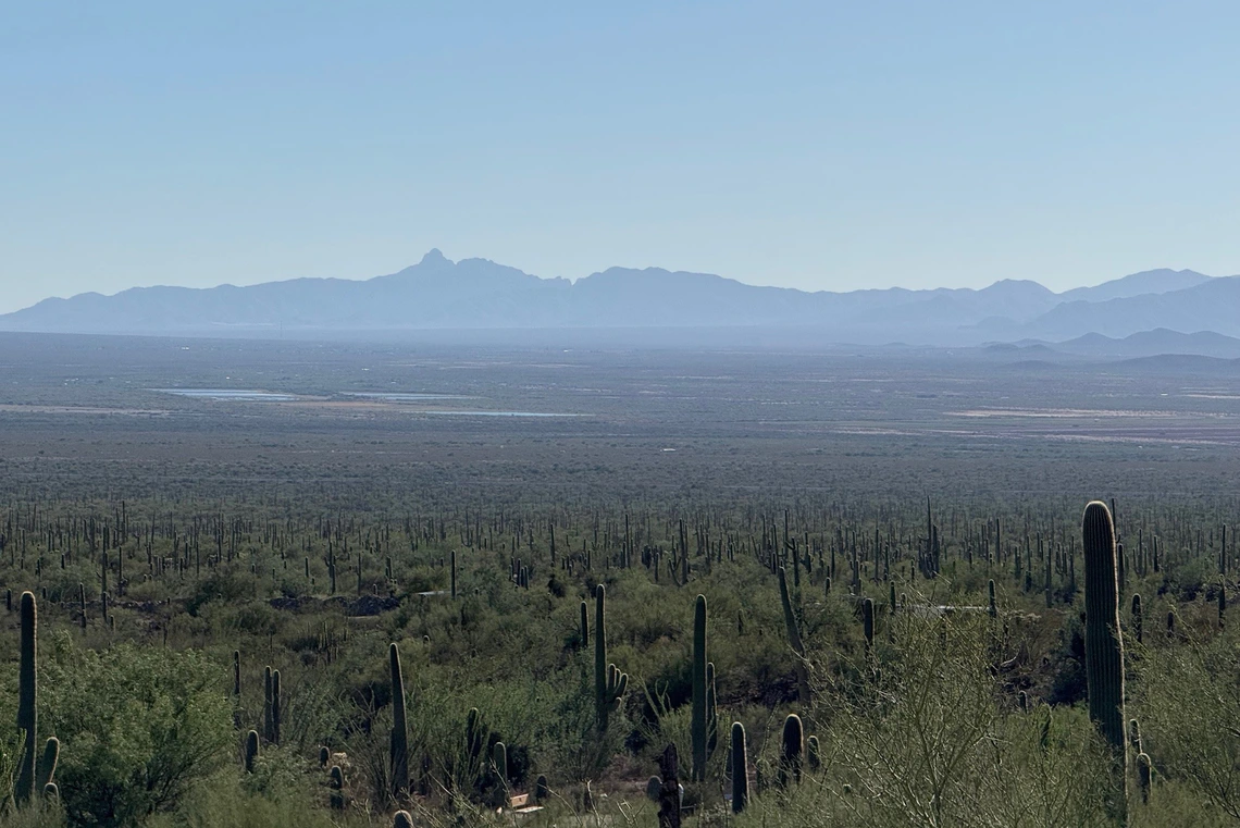 a midday, sunny view of a desert landscape with saguaros and distant ponds and a mountain ridgeline in the background