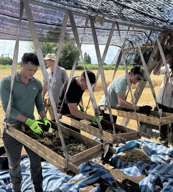 A group of people work under a shade canopy in a wheat field, sifting soil and plant material through large wooden screens suspended on frames. They wear casual outdoor clothing and gloves, with buckets and tools scattered around on blue tarps.