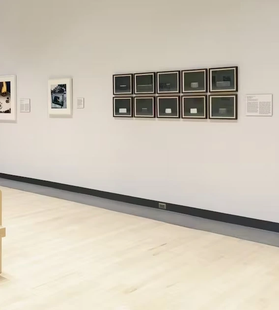 Exhibition gallery view of Funny Business: Photography and Humor at the Phoenix Art Museum. A wooden bench sits in the foreground, with a row of framed photographs displayed along a white wall, including colorful abstract pieces, a grid of smaller blue images, and a large black-and-white photograph of a dog standing on a narrow pedestal.