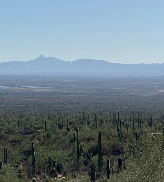 a midday, sunny view of a desert landscape with saguaros and distant ponds and a mountain ridgeline in the background 