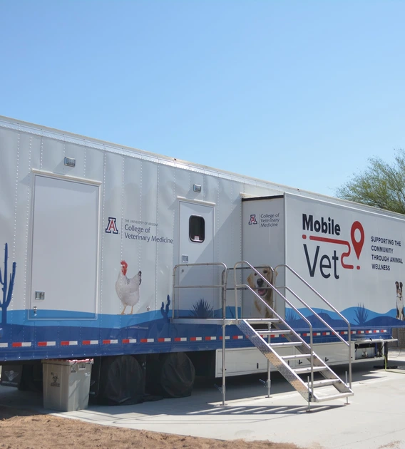 A large mobile veterinary clinic trailer against a clear blue sky. The trailer is white with blue accents and features images of animals, including a chicken and a dog. The left side displays the logo and text for the University of Arizona College of Veterinary Medicine. Metal stairs with railings lead to entrances on the side of the trailer. Various graphics, including cacti, are painted along the bottom.