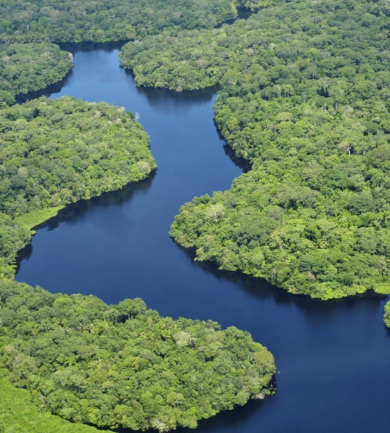 Amazon River photographed from the air