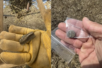 A composite image. On the right, a man's hand holds a Roman-era coin in a plastic bag over a field of wheat. On the left, the man is wearing a yellow glove and holding a piece of aluminium.