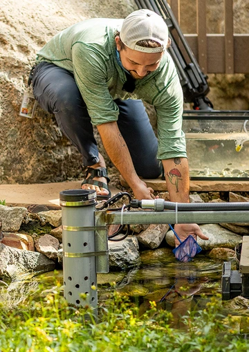 A man in a green shirt and blue pants releases a fish into a body of water