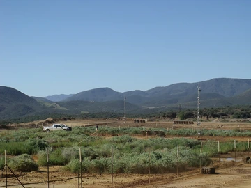Green crops planted in desert landscape with rolling hills in the background.