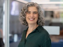Harmony DeFazio