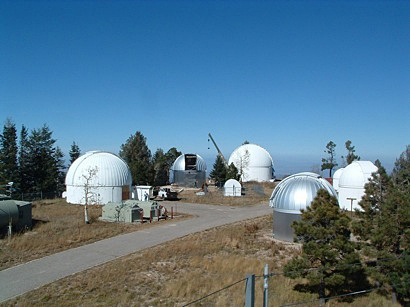 Catalyna