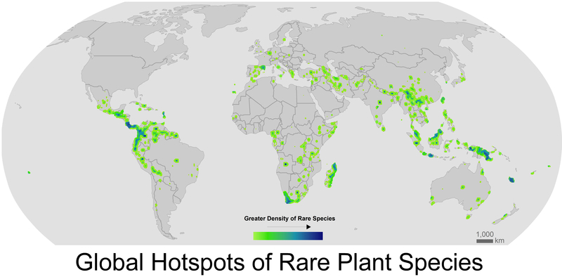 The map shows that rare species tend to cluster in a handful of hot spots, such as the Northern Andes in South America, Costa Rica, South Africa, Madagascar, and Southeast Asia.