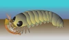 In this illustration of the living Mollisonia animal, its segmented abdomen is attached to a thorax and head with a pair of eyes and jointed legs. 