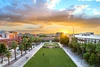University of Arizona Mall at sunset