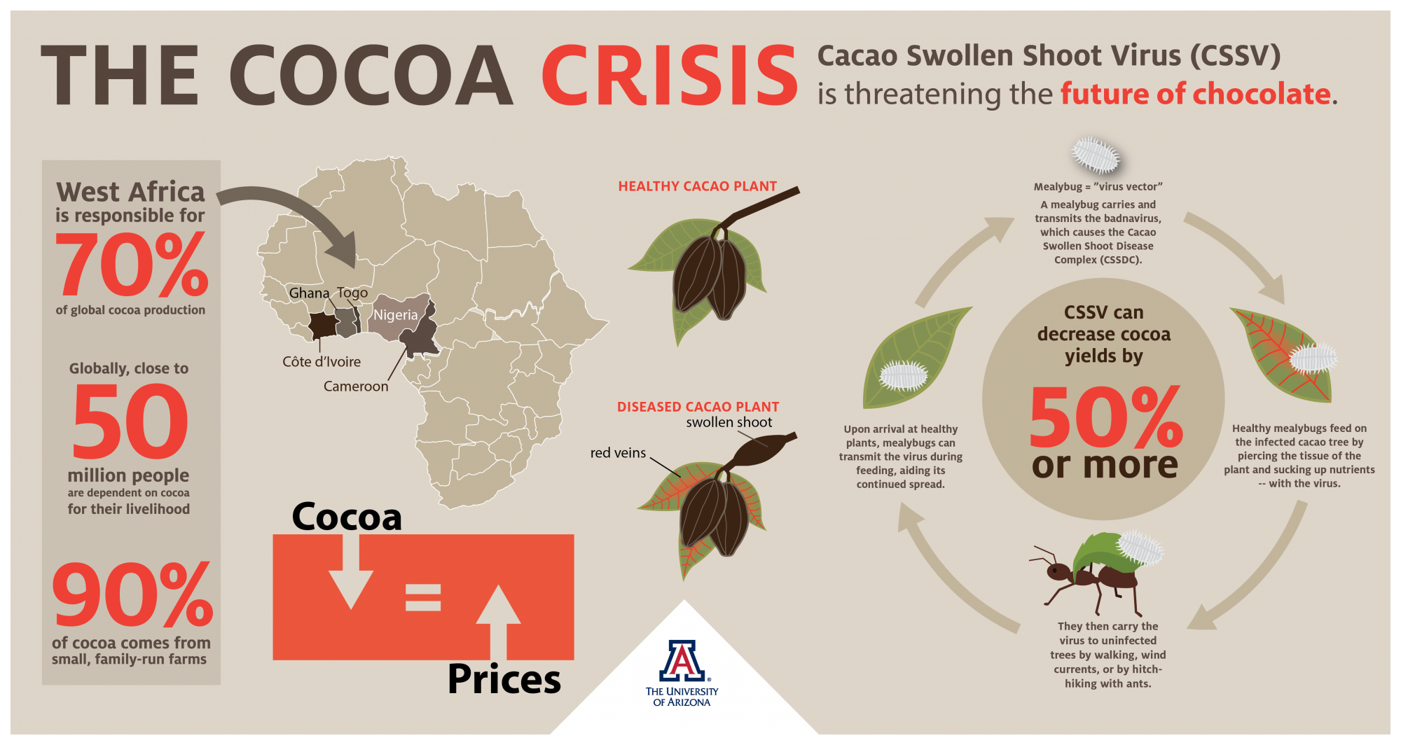 Cocoa, Currency and a Chocolate Crisis | University of Arizona News
