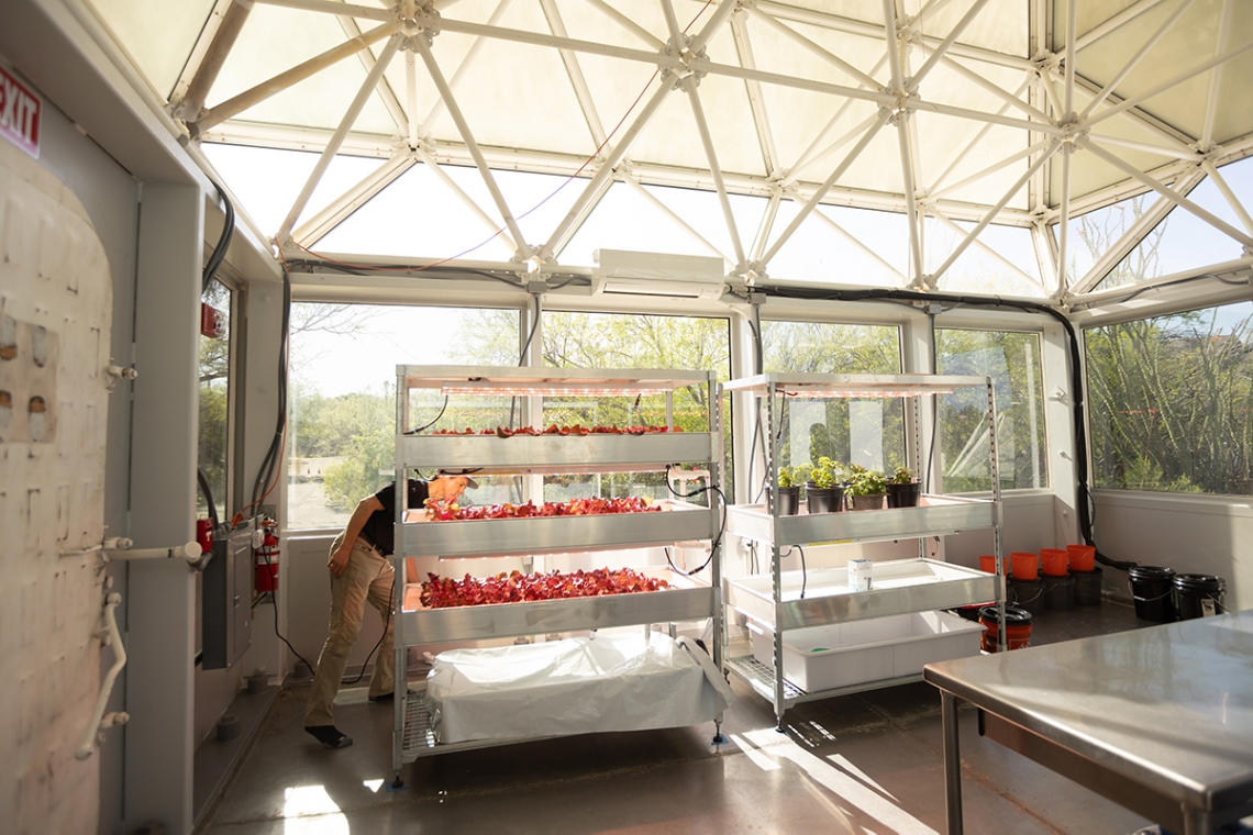 A man tends to a hydroponics system inside of a glass enclosure.