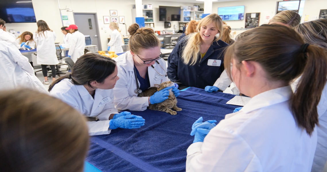 Group of students interacting with pet patients