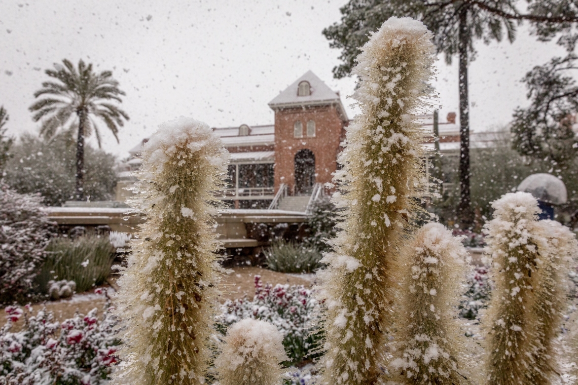 snowy Old Main