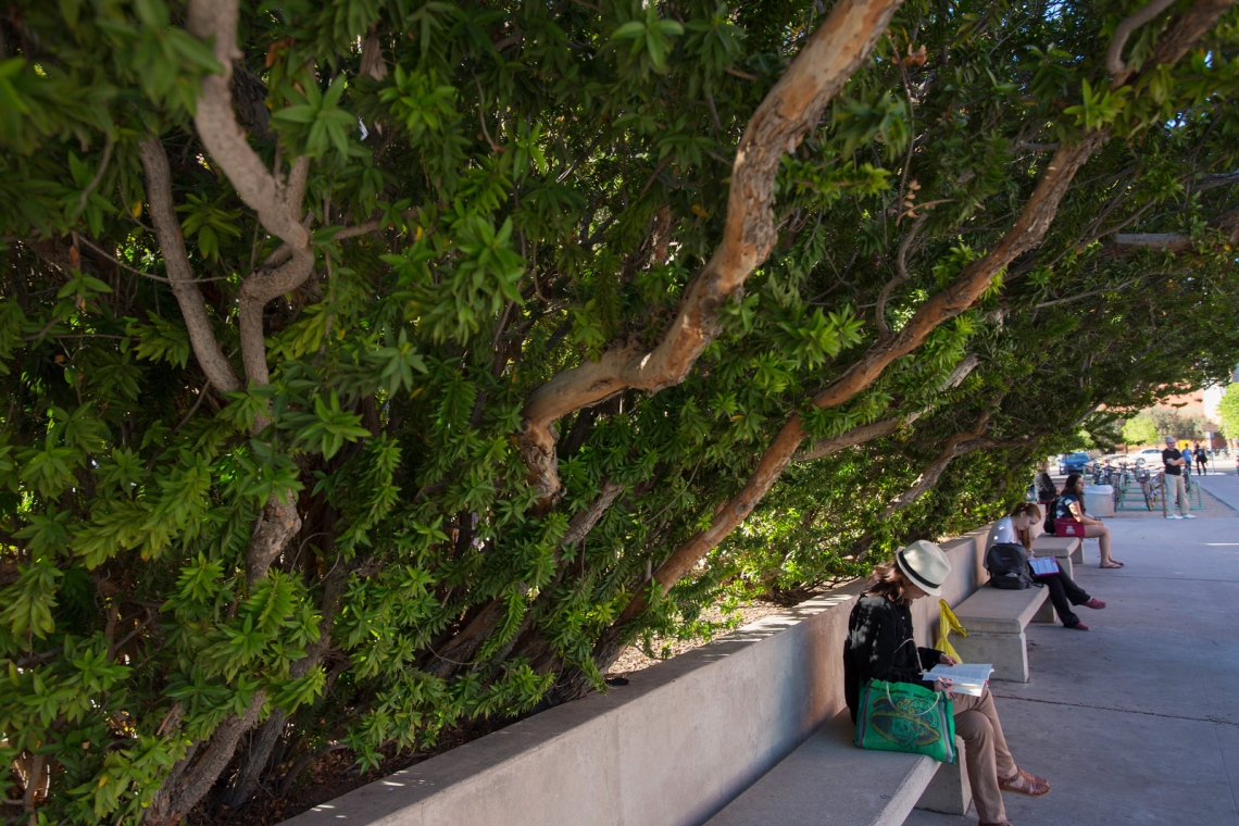 someone sitting on a bench underneath a tree
