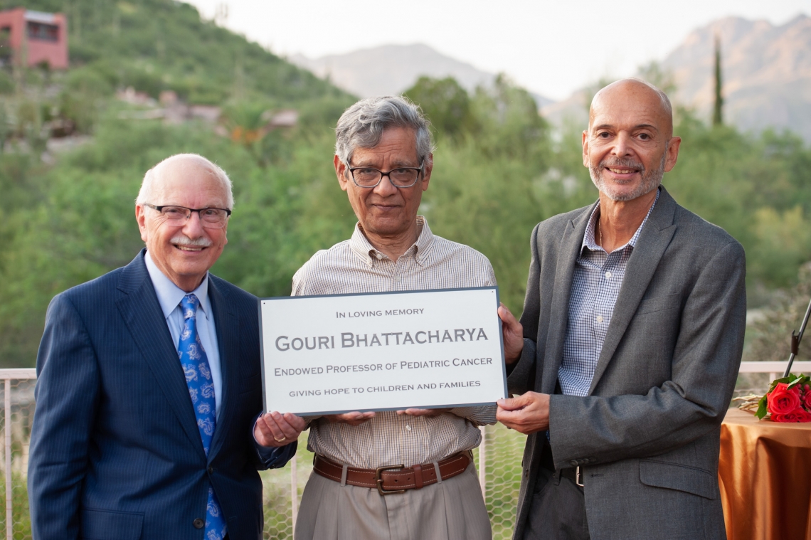 Fayez K. Ghishan, Rabi Bhattacharya and Emmanuel Katsanis