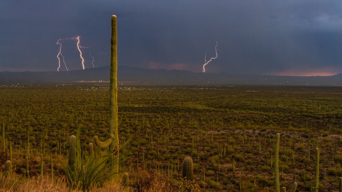 A desert landscape with cactus and lightning