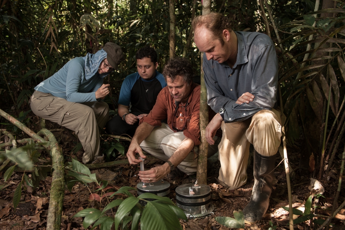 UArizona research faculty and students collect samples in Pasi Peru.