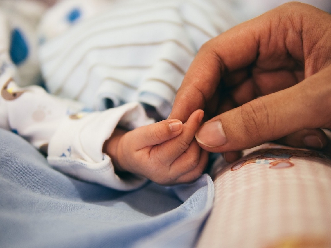 premature baby in hand