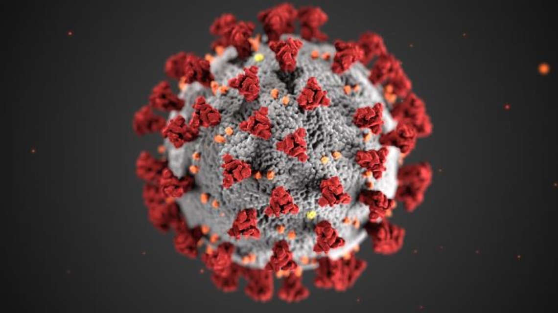 an illustration of the SARS-CoV-2 virus