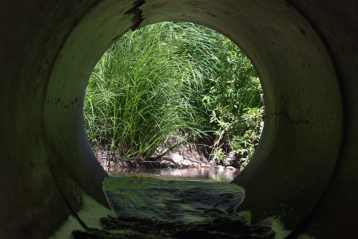 "Pipe" by Cindy Rettinger, East Verde River
