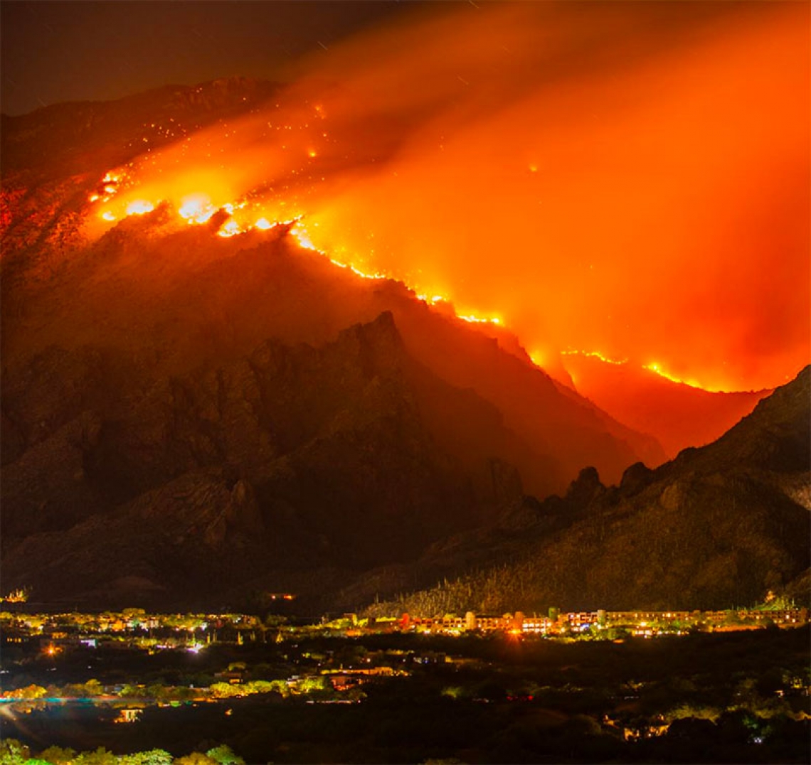 fire on a mountain