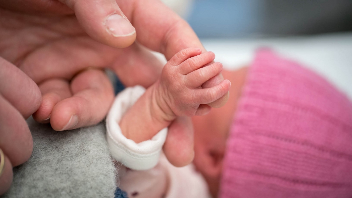 a baby's hand