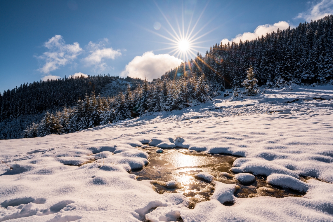melting snow melting snow