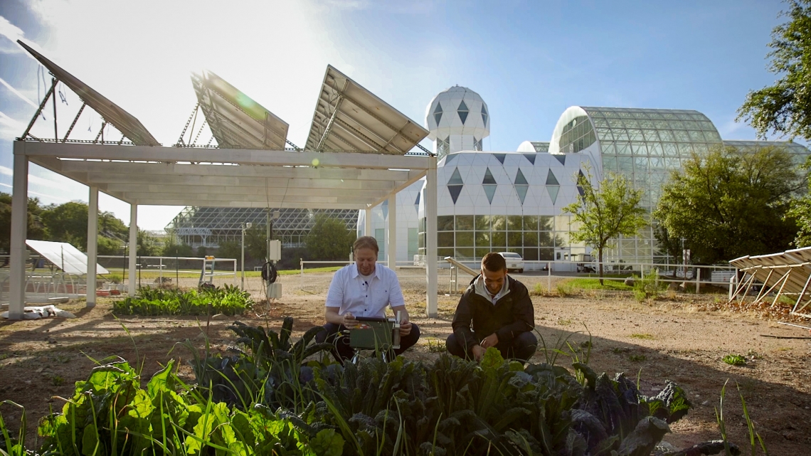 Researcher Greg Barron-Gafford and undergraduate research assistant Dan Blackett tend to the greens at the agrivoltaic test site st Biosphere 2. Researcher Greg Barron-Gafford and undergraduate research assistant Dan Blackett tend to the greens at the agrivoltaic test site st Biosphere 2.