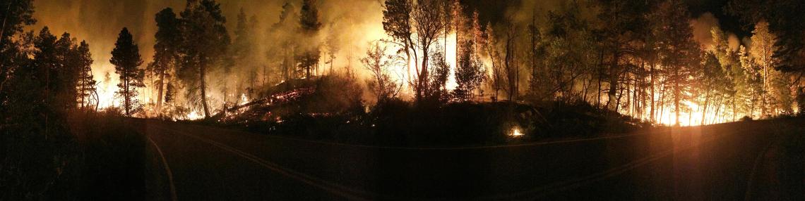 A wildfire decimates everything in its path, damaging and destroying structures, ruining the local ecology and often resulting in the loss of human lives. A lightning strike started the Fuller Fire, which was located on the North Rim of Grand Canyon Natio