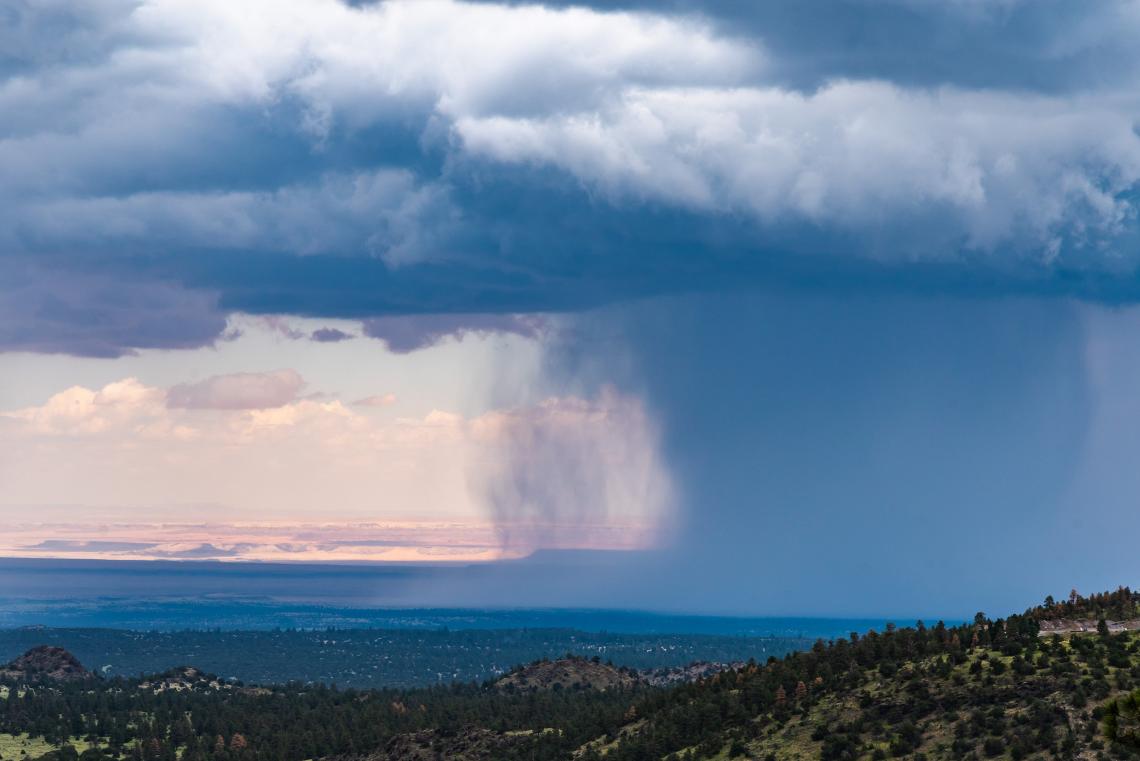 Monsoon rainstorms bring moisture from the tropics to the arid lands of the Desert Southwest, supporting a landscape that is much more biodiverse than most other deserts in the world. 