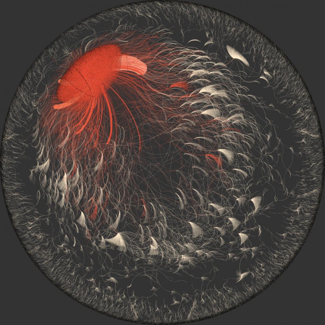 A study by UA professor Sudha Ram shows, through network visualizations, varying patterns of news diffusion on Twitter for a dozen different news agencies.