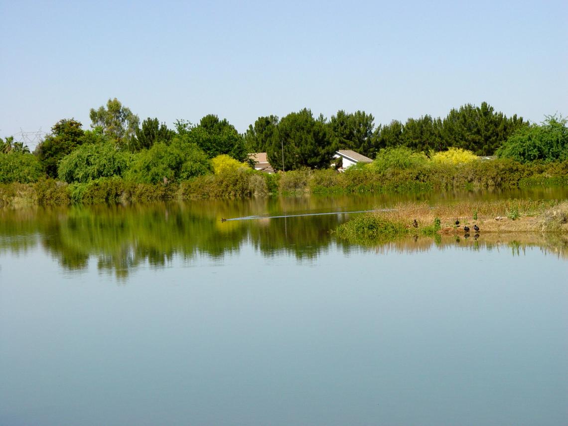 Jean McLain and Channah Rock conducted much of their antibiotic resistance research on water and sediment samples collected at Gilbert Riparian Preserve near Phoenix. 