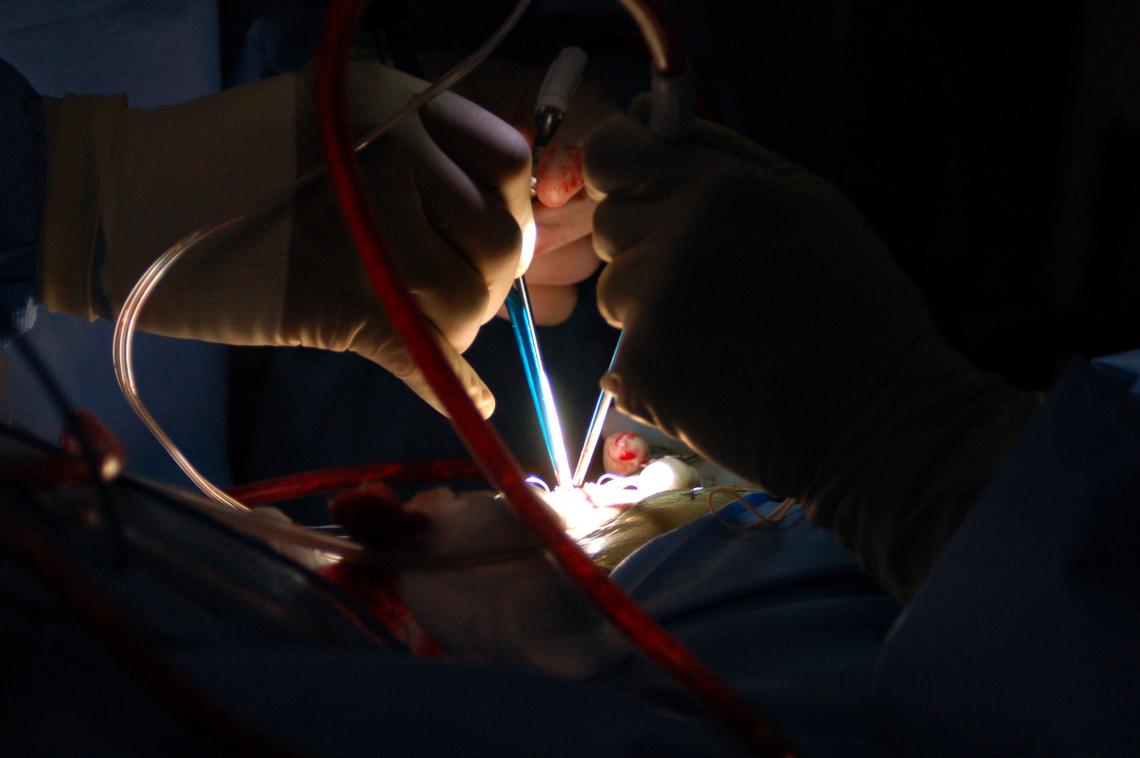 New add-on technology developed at the UA will give surgeons a better view under the microscope. New add-on technology developed at the UA will give surgeons a better view under the microscope.