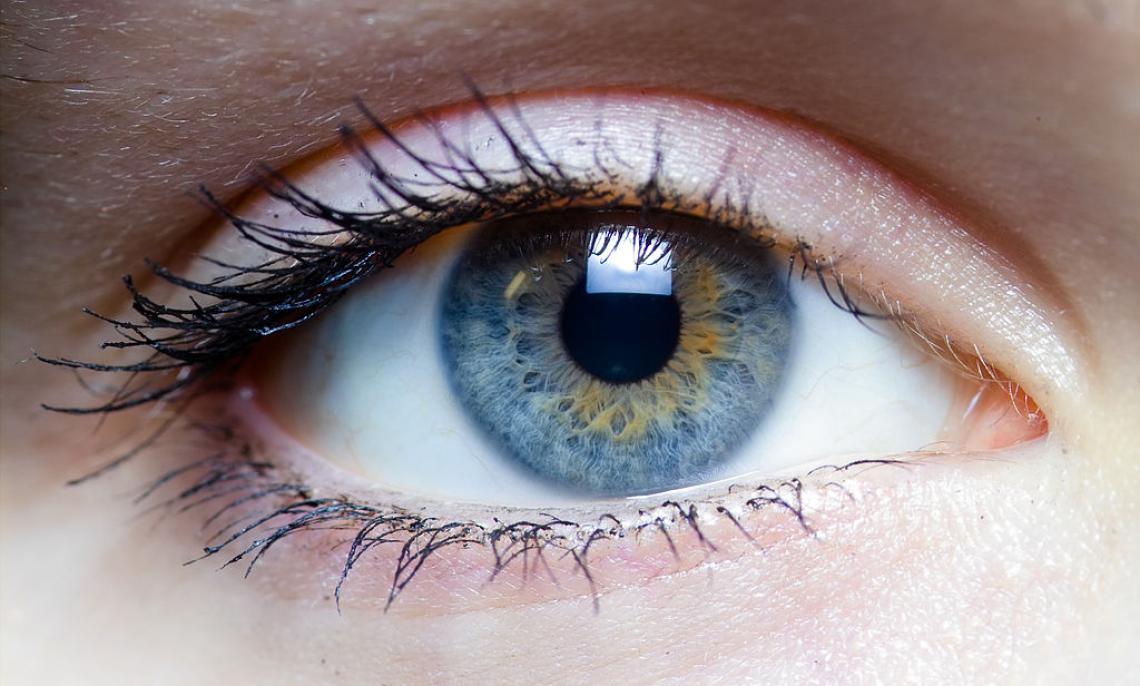 "We're showing that there's more interplay between memory and perception than previously has been assumed," said lead author Laura Cacciamani. "We're showing that there's more interplay between memory and perception than previously has been assumed," said lead author Laura Cacciamani.