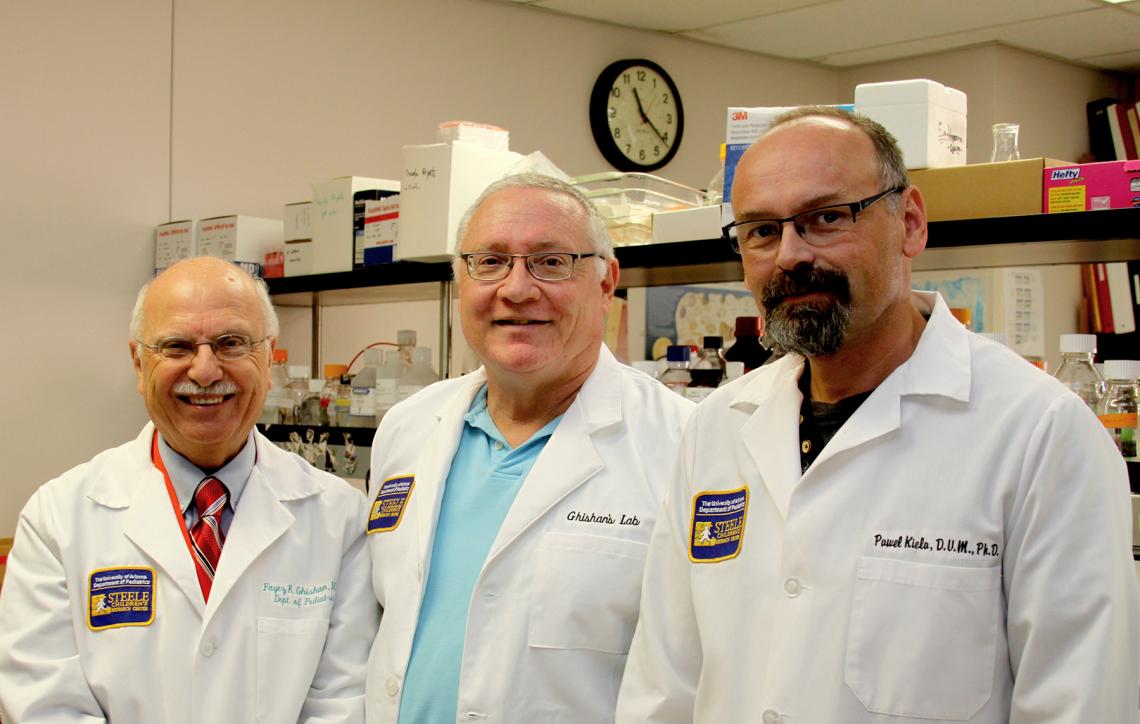 UA researchers Dr. Fayez K. Ghishan, Eugene A. Mash Jr. and Pawel Kiela. UA researchers Dr. Fayez K. Ghishan, Eugene A. Mash Jr. and Pawel Kiela.
