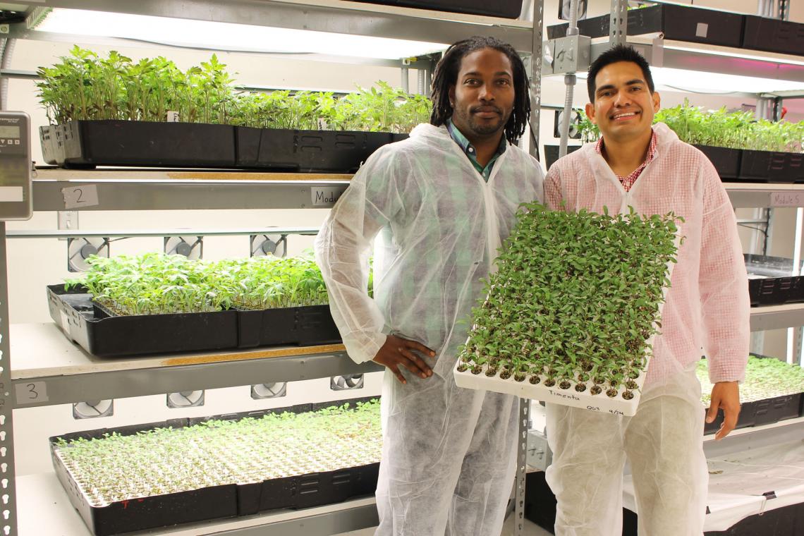 Entrepreneurs John Jackson and Ricardo Hernandez of Grafted Growers Entrepreneurs John Jackson and Ricardo Hernandez of Grafted Growers