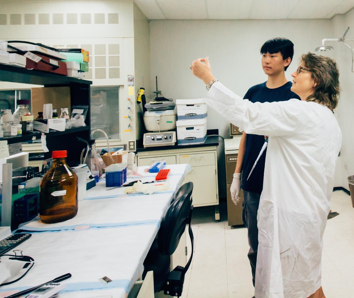 Catherine Smith mentors high school student and KEYS intern Eugene Wang. "I think it's important for high school students to understand what kind of options are out there for research careers," said Smith, associate professor in the UA Department of Pharm Catherine Smith mentors high school student and KEYS intern Eugene Wang. "I think it's important for high school students to understand what kind of options are out there for research careers," said Smith, associate professor in the UA Department of Pharm
