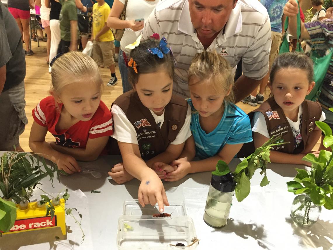 Growing Up With the AZ Insect Festival University of Arizona News