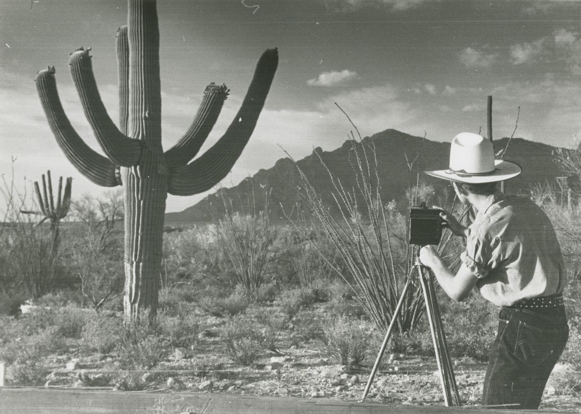 A young man photographs a saguaro cactus outside of the Herbert residence in Tucson. A young man photographs a saguaro cactus outside of the Herbert residence in Tucson.